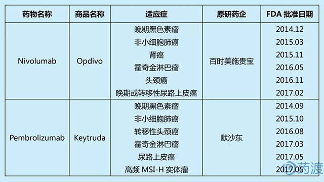 640.webp (13).jpg