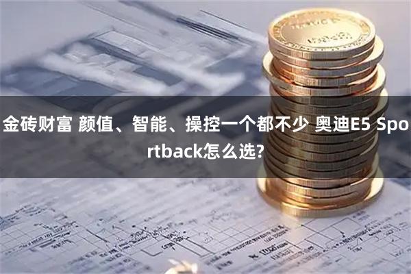 金砖财富 颜值、智能、操控一个都不少 奥迪E5 Sportback怎么选?