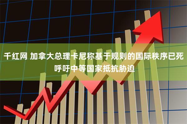 千红网 加拿大总理卡尼称基于规则的国际秩序已死 呼吁中等国家抵抗胁迫